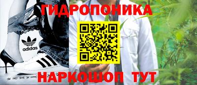 прущие крисы Бузулук